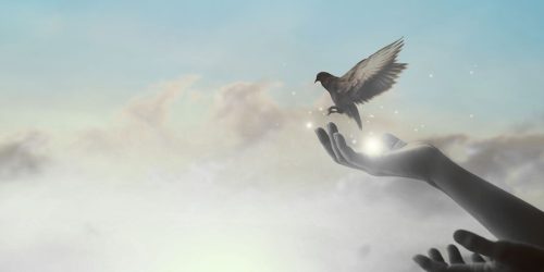 Heaven Creates - Webdesign mit Feingeühl für sensible Branchen